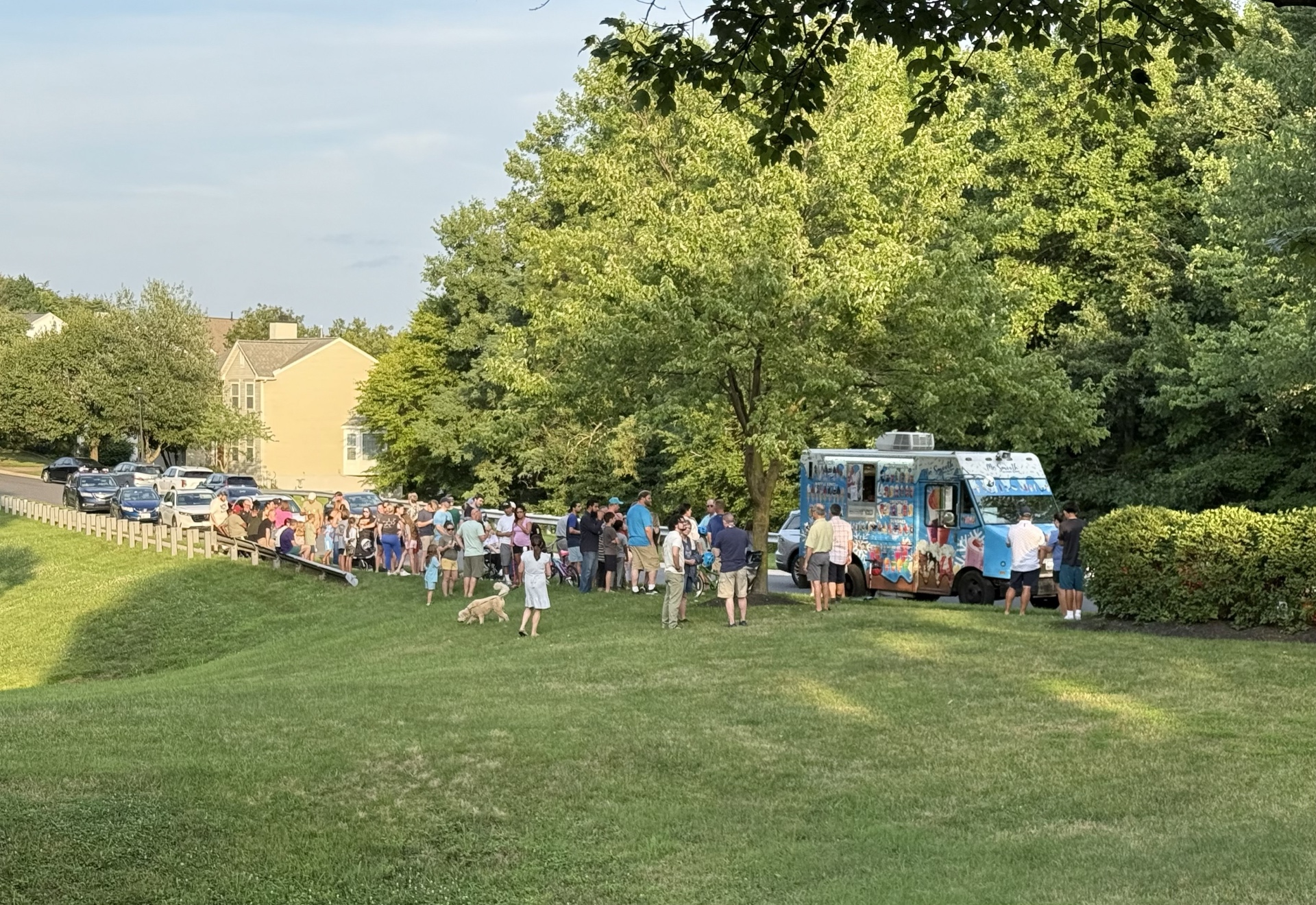 Neighborhood event with a long line at the Mr Smooth Ice Cream Truck